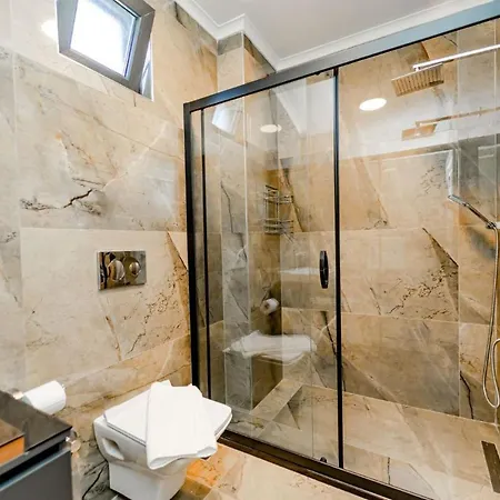 别墅 Memories Palace 费特希耶