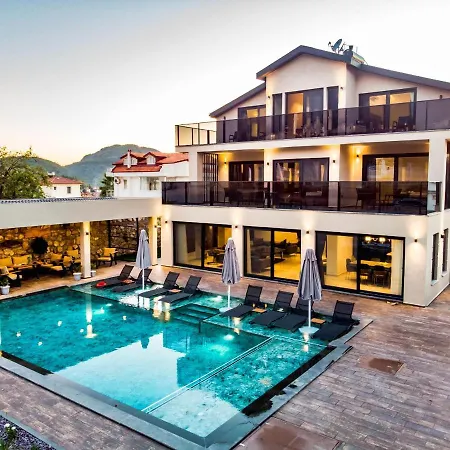 Memories Palace 别墅 费特希耶