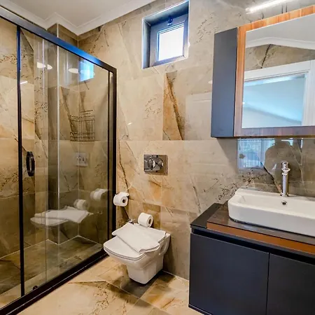 Memories Palace 别墅 费特希耶